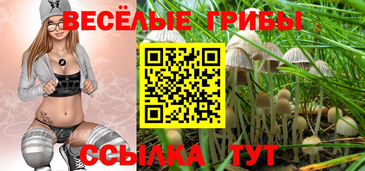 Галлюциногенные грибы мицелий Гурьевск